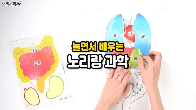 [특별강의]누리과정 연계, 과학적 사고력 프로그램 노리랑과학 1~3단계[전남 화순]