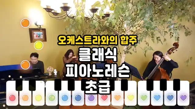 오케스트라와의 합주 클래식 피아노레슨 초급