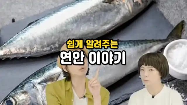 쉽게 알려주는 연안 이야기