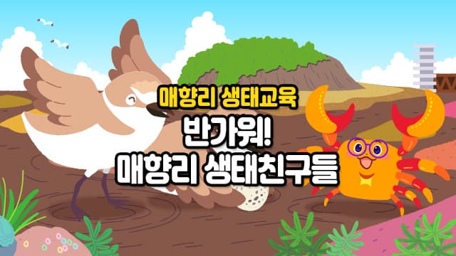 [매향리 생태교육] 반가워! 매향리 생태친구들